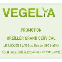 COACH KIN - Oreiller Mémoire de Forme Cervical Grand modèle Végélya